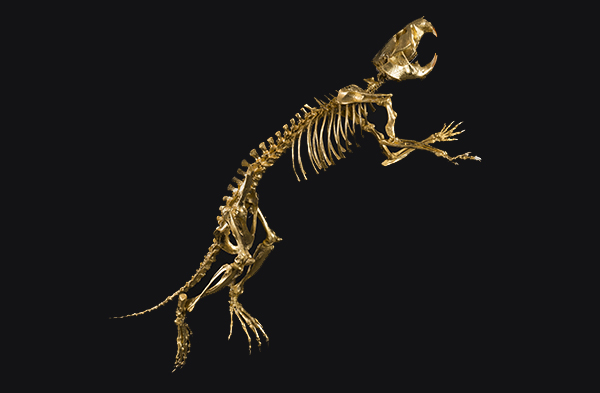 Juxtapoz Magazine - The Gilded Dinosaur Skeleton Installation